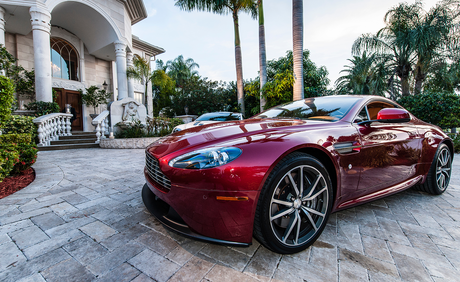 Dino Marketing Group Logo